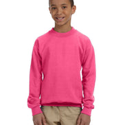 Youth Crewneck Sweatshirt