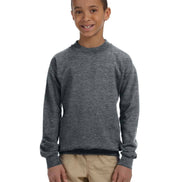 Youth Crewneck Sweatshirt