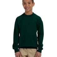 Youth Crewneck Sweatshirt
