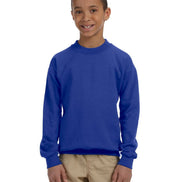 Youth Crewneck Sweatshirt