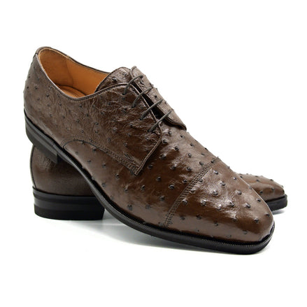 Andrea Ostrich Quill Lace Up, Brown
