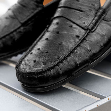 Monza Ostrich Quill Driver, Black