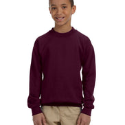 Youth Crewneck Sweatshirt
