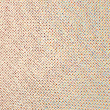 Champagne Boys Tie
