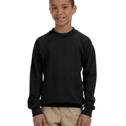 Youth Crewneck Sweatshirt