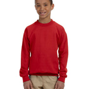 Youth Crewneck Sweatshirt