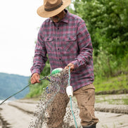 Grand Flannel, Burgundy