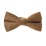 Lucky Penny Boys Bow Tie