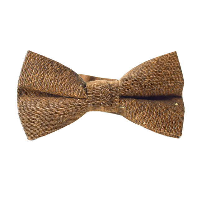 Lucky Penny Boys Bow Tie