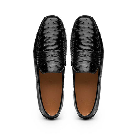 Monza Ostrich Quill Driver, Black