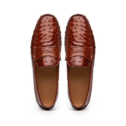 Monza Ostrich Quill Driver, Brandy